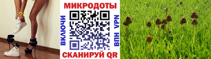 Галлюциногенные грибы мухоморы  hydra зеркало  Воркута 